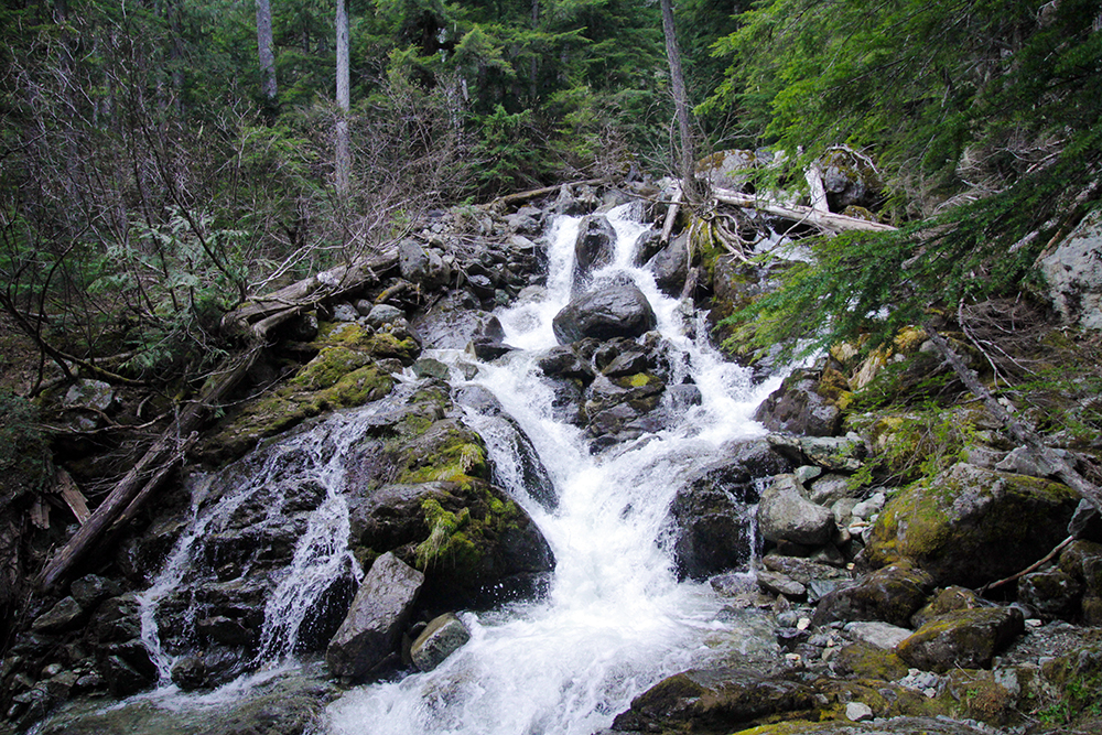 A waterfall along Brandywine 